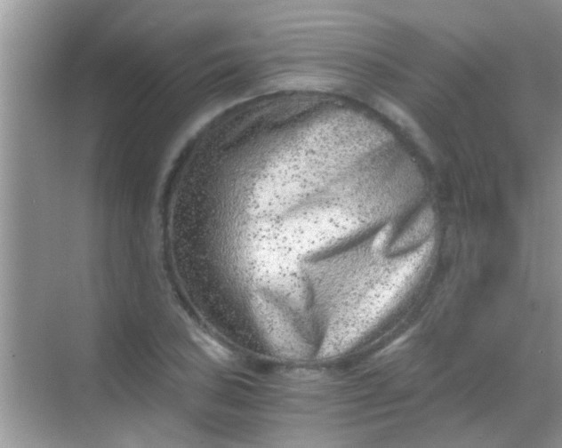 X0000068281027200605051836