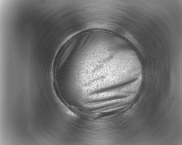 X0000068281028200605051836