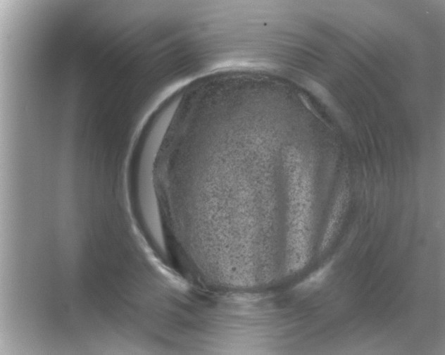 X0000068281030200605051836