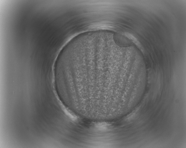 X0000068281031200605051836