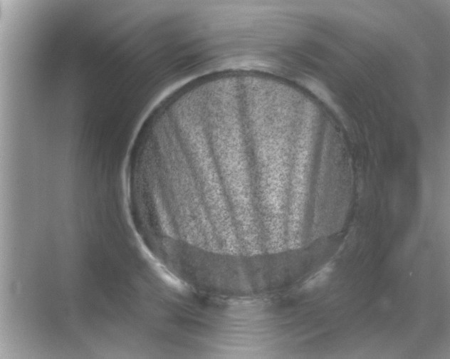 X0000068281032200605051836