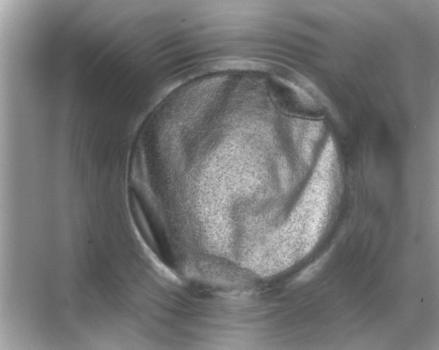 X0000068281033200605051836