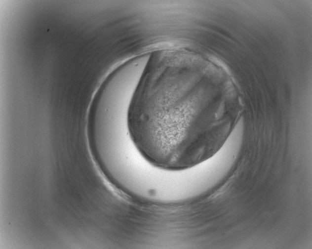 X0000068281034200605051836