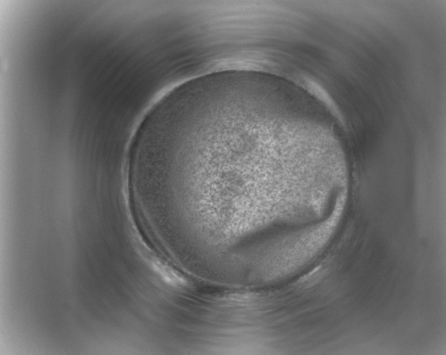 X0000068281035200605051836