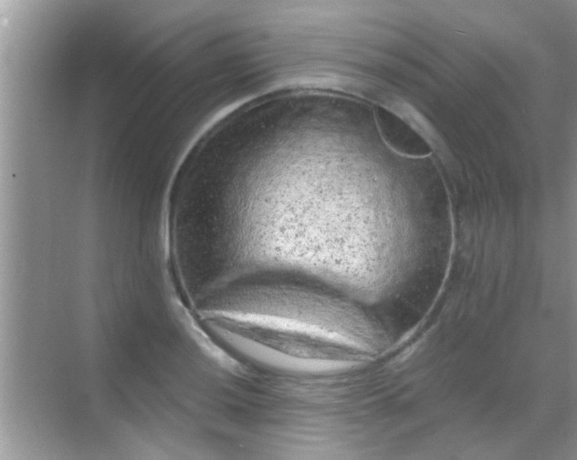 X0000068281036200605051836