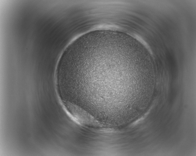 X0000068281037200605051836