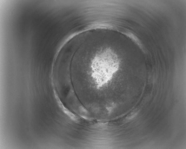 X0000068281038200605051836