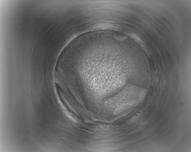 X0000068281039200605051836