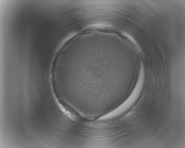 X0000068281042200605051836