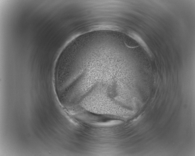 X0000068281043200605051836