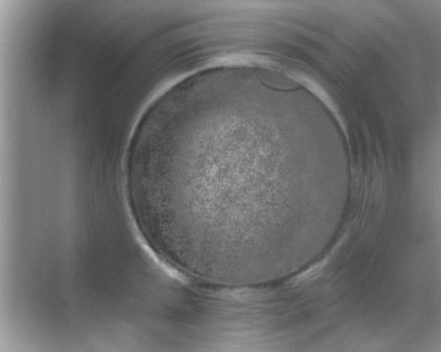 X0000068281045200605051836