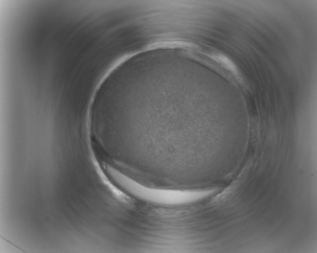 X0000068281046200605051836