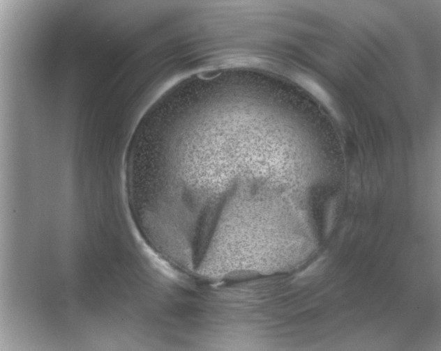 X0000068281047200605051836