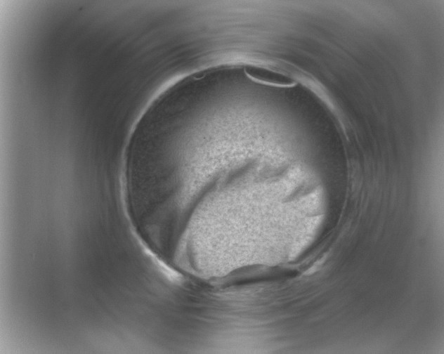 X0000068281048200605051836