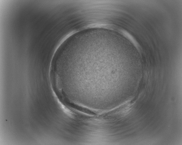 X0000068281050200605051836