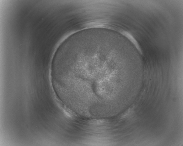 X0000068281051200605051836