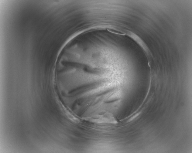 X0000068281052200605051836