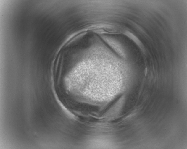 X0000068281055200605051836