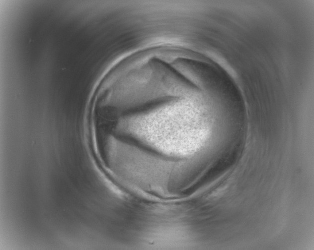 X0000068281056200605051836