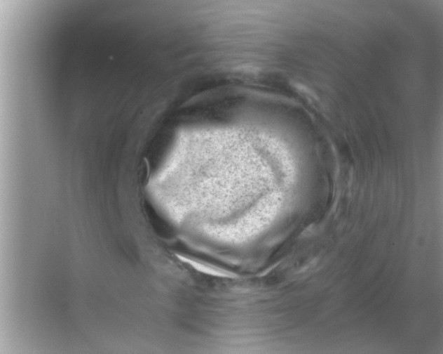 X0000068281057200605051836