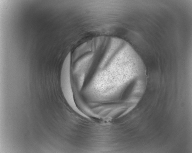 X0000068281058200605051836