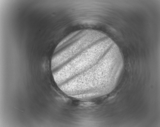 X0000068281061200605051836