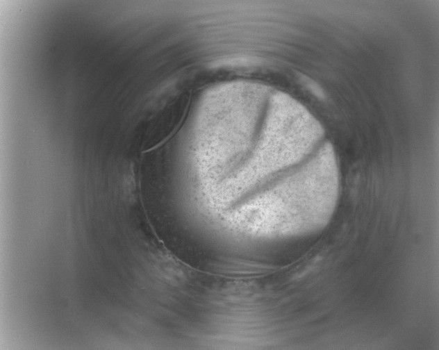 X0000068281062200605051836