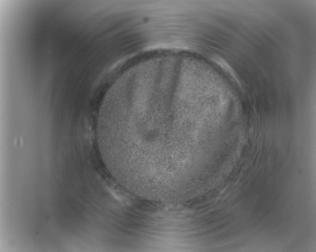 X0000068281064200605051836