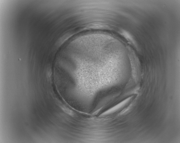 X0000068281065200605051836