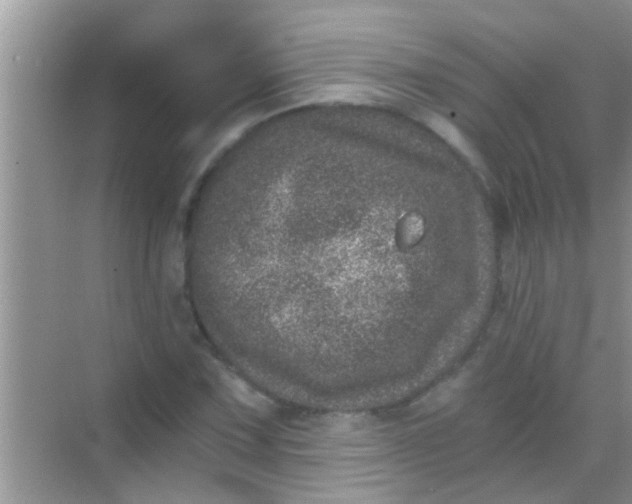 X0000068281067200605051835