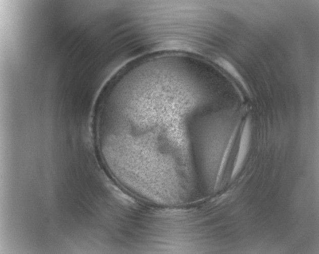 X0000068281068200605051835