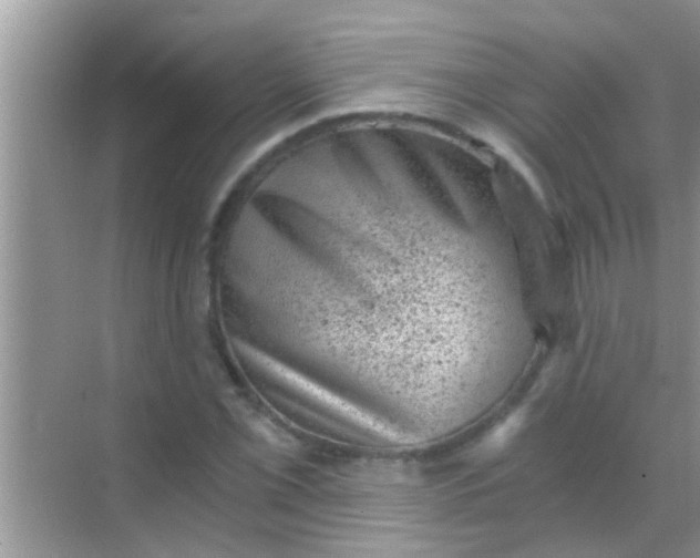 X0000068281069200605051835