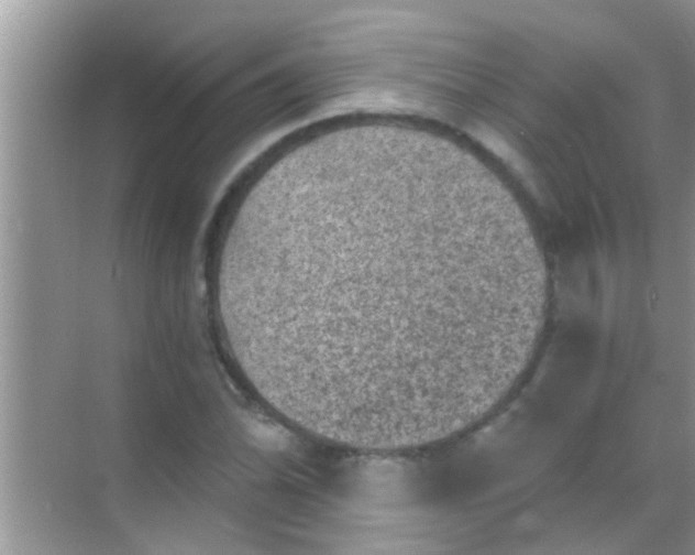 X0000068281070200605051835