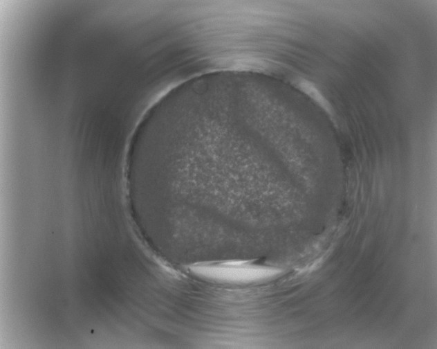 X0000068281071200605051835