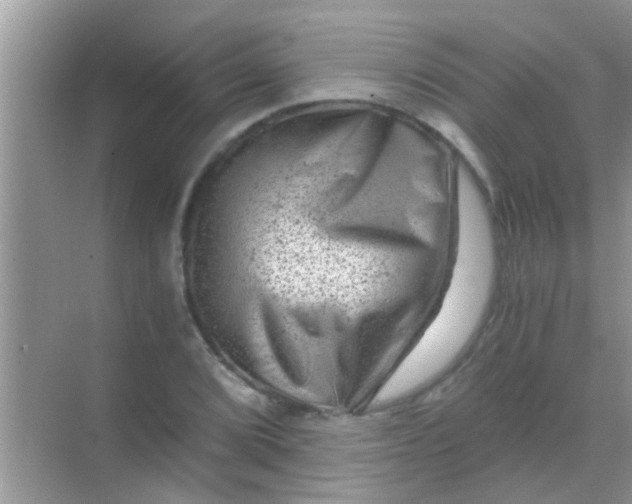 X0000068281072200605051835