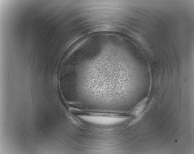 X0000068281073200605051835