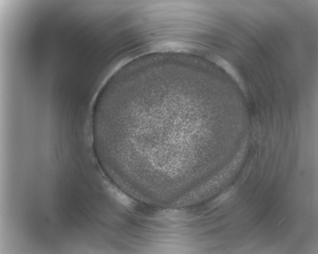 X0000068281075200605051835