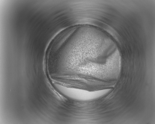 X0000068281076200605051835