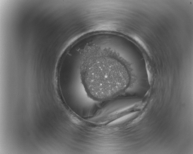 X0000068281077200605051835