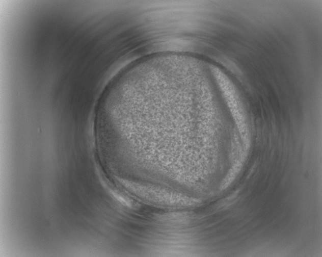 X0000068281078200605051835