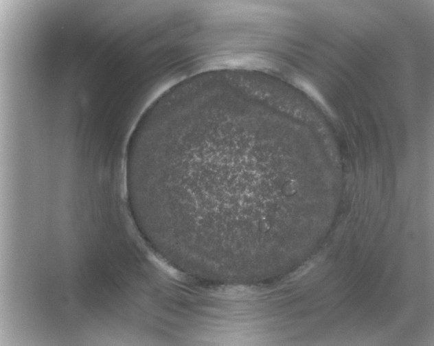 X0000068281079200605051835