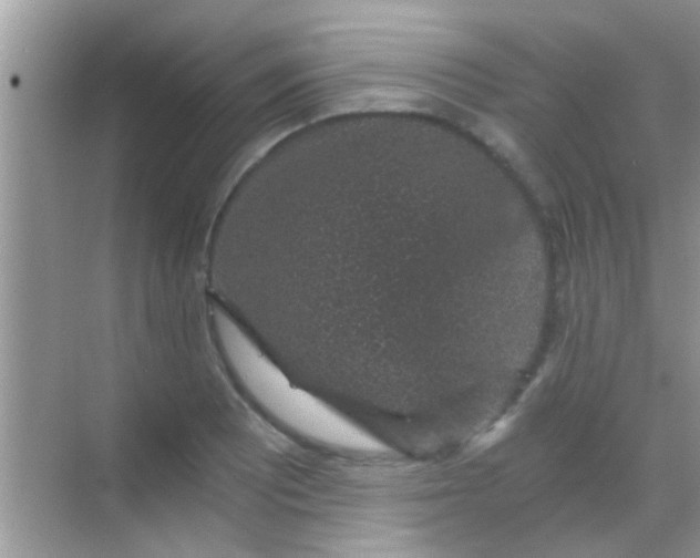 X0000068281081200605051835