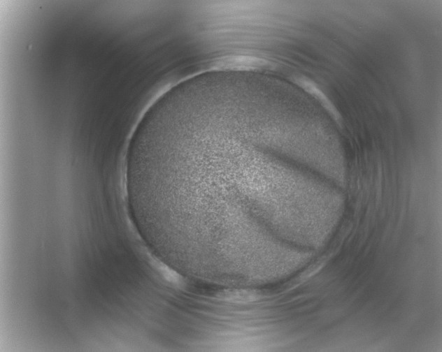 X0000068281083200605051835