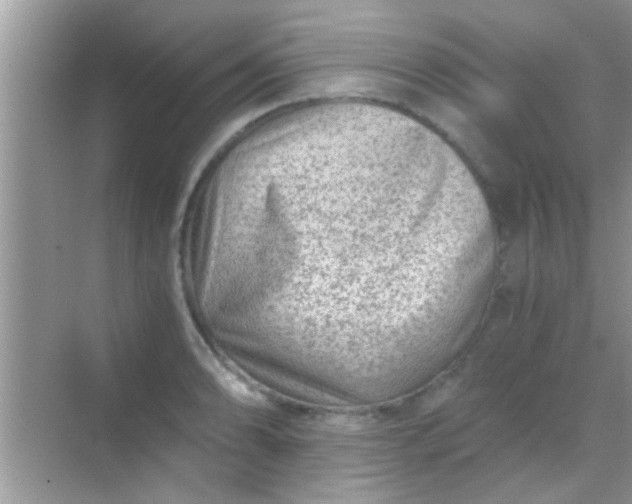 X0000068281086200605051835