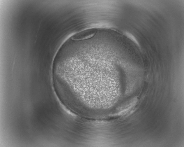 X0000068281087200605051835