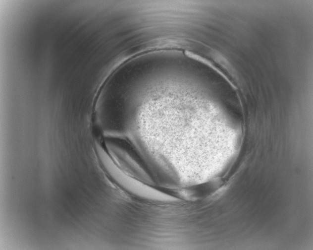 X0000068281089200605051835