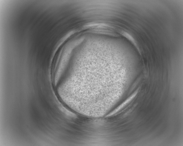 X0000068281090200605051835