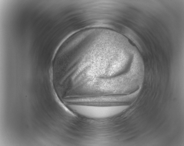 X0000068281092200605051835