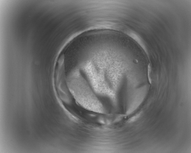 X0000068281093200605051835