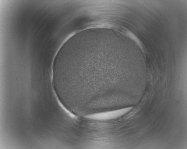 X0000068281095200605051835